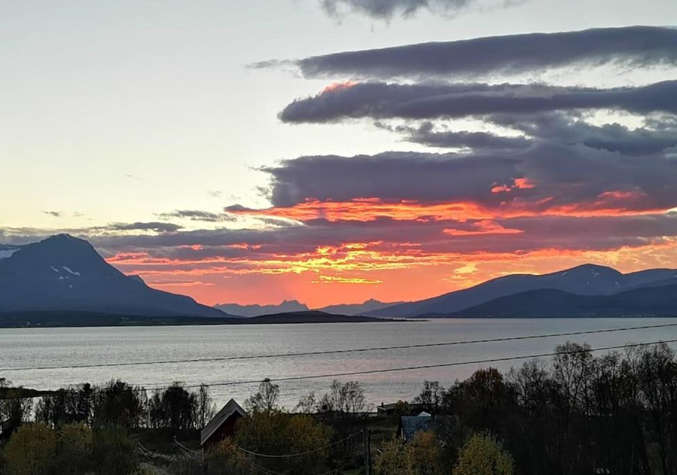 Liten Kjellerleilighet. Landlig Rolig Omrade. ทรอมโซ ภายนอก รูปภาพ